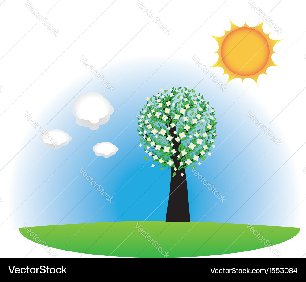 Springtime tree Vector Image