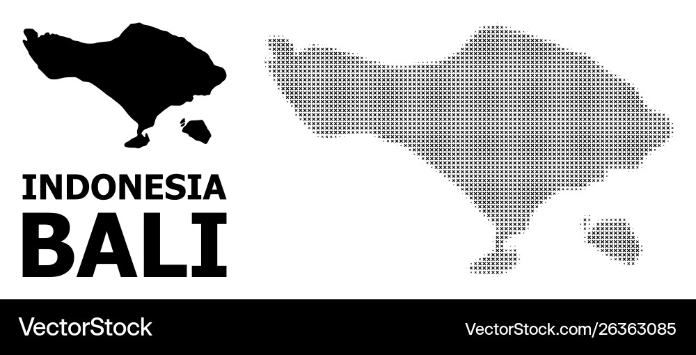 Halftone pattern and solid map bali Vector Image