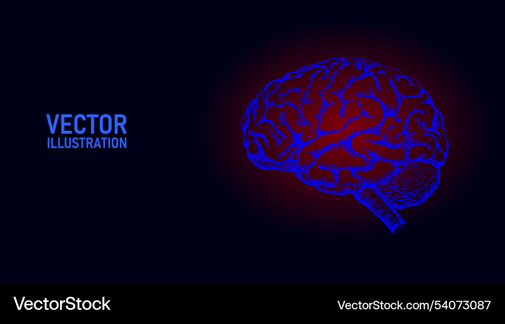 Anatomische menschliche Gehirnlinie Zeichnung Coaching Anatomische menschliche Gehirnlinie Zeichnung Coaching vektorbild