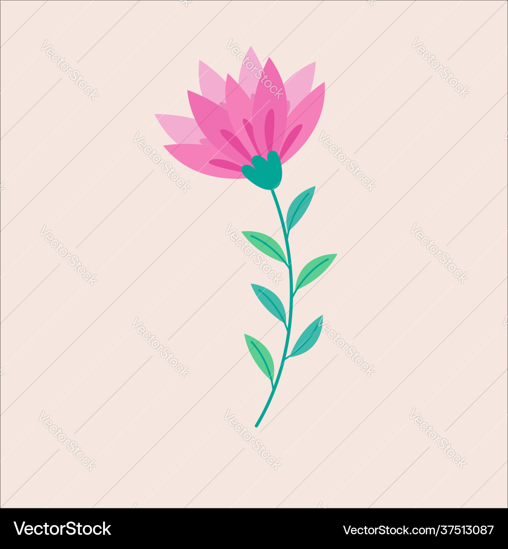 Beautiful spring flower design flat Royalty Free Vector