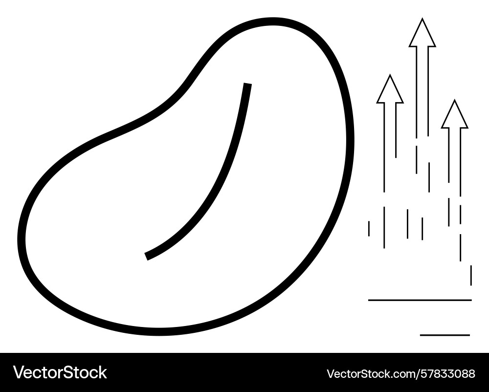 Abstract bean shape with vertical arrows Vector Image