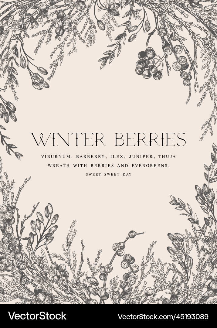 Botanical Winter Berries Frame Vector Image