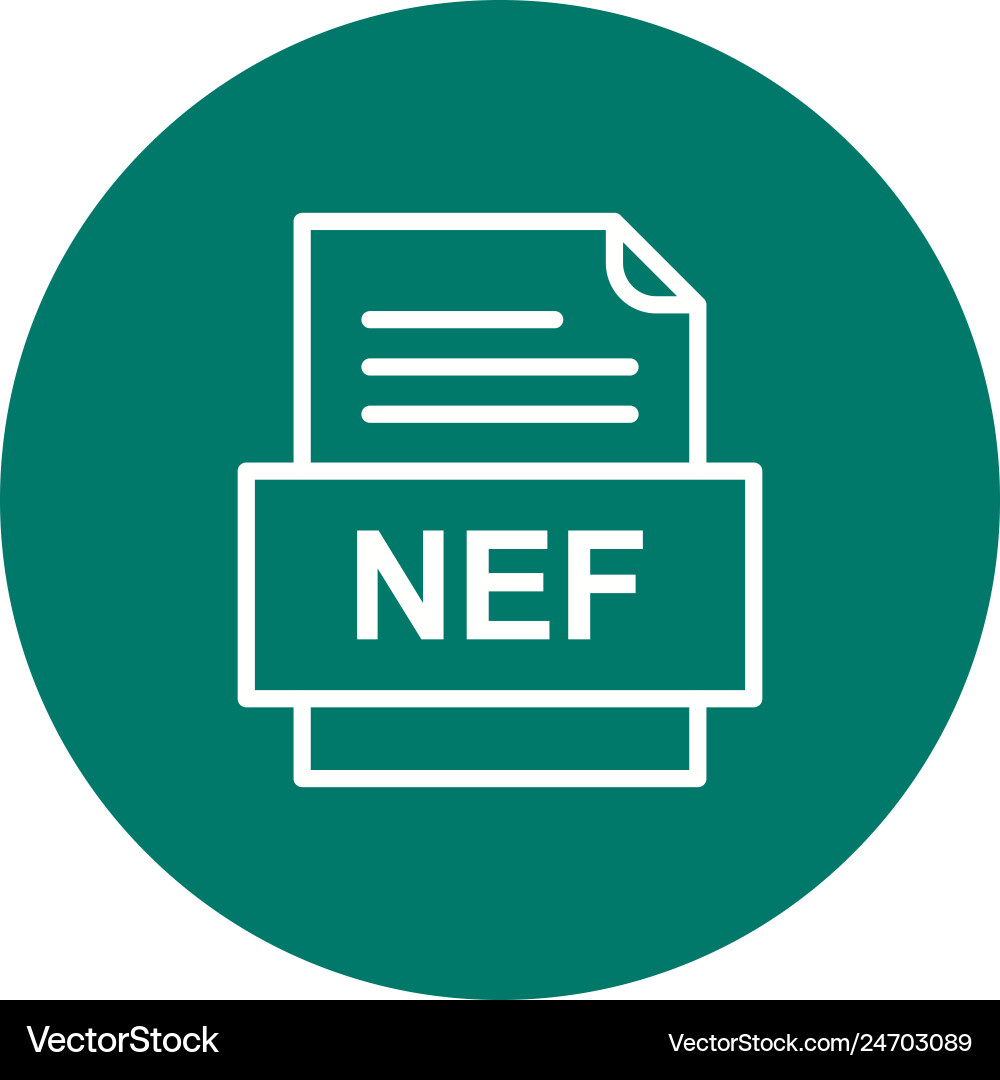Nef file document icon vector image
