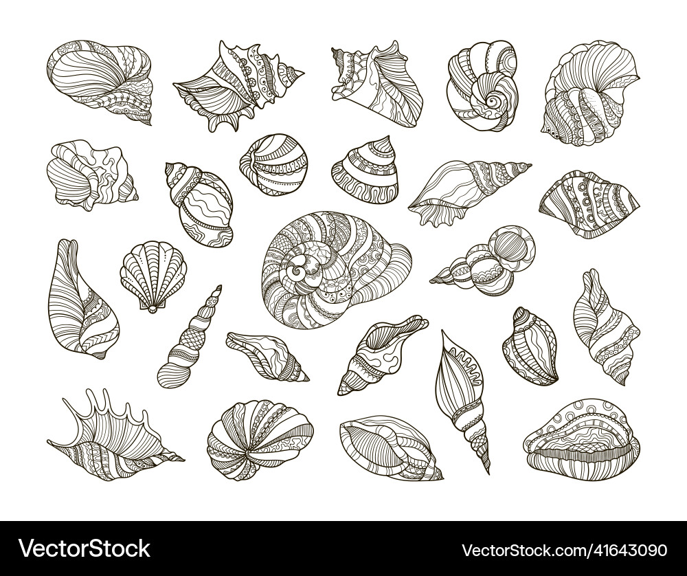 Set of linear shells with ornaments Vector Image