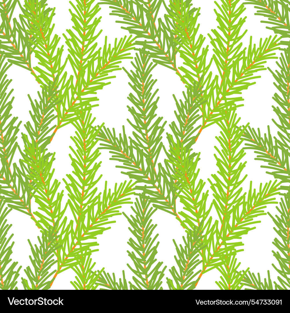 Fir branches pattern coniferous green Fir branches pattern coniferous green Vector Image