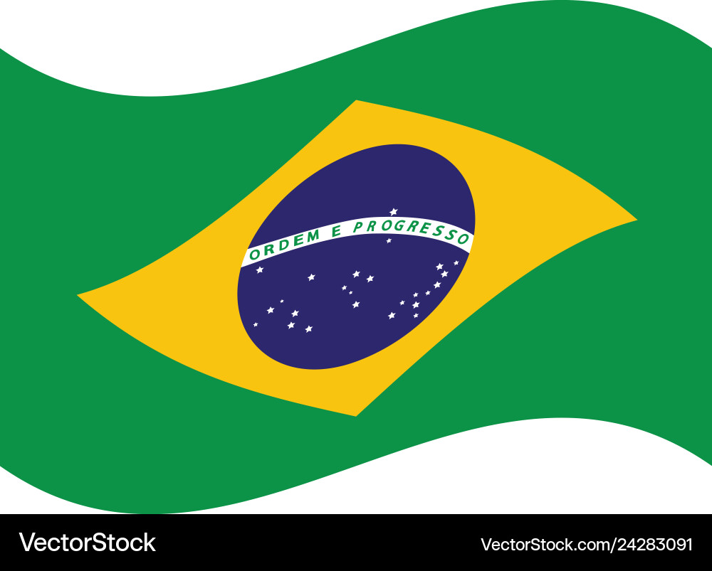 Simple flag of brazil brazilian correct size Vector Image