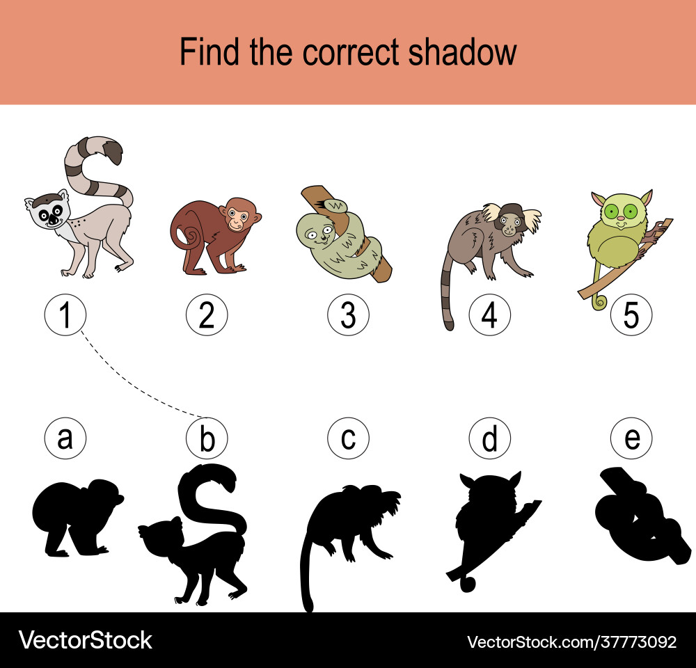 Find correct shadow puzzle with monkeys Find correct shadow puzzle with monkeys Vector Image