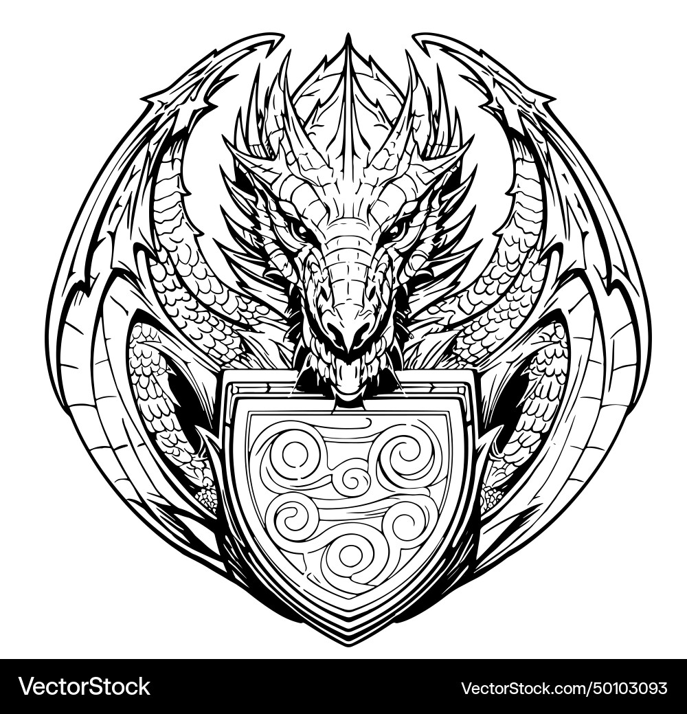 Image of a heraldic shield with dragon Image of a heraldic shield with dragon vector image