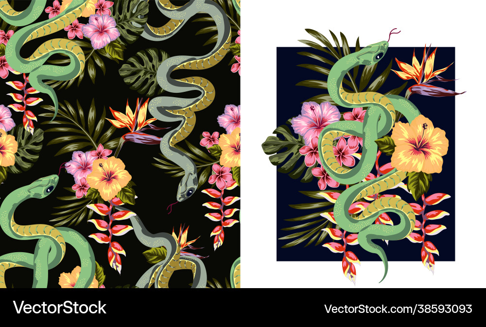 Set a snake and flowers abstraction pattern Vector Image