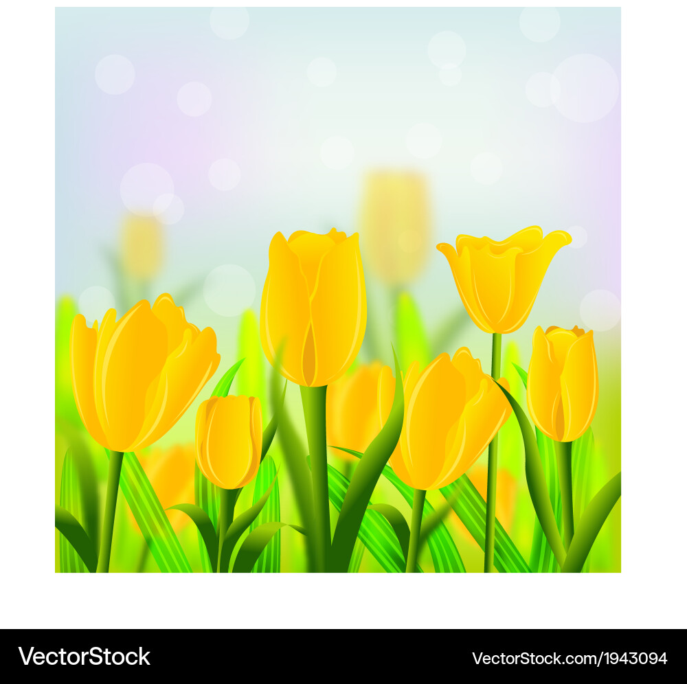Spring background vector image