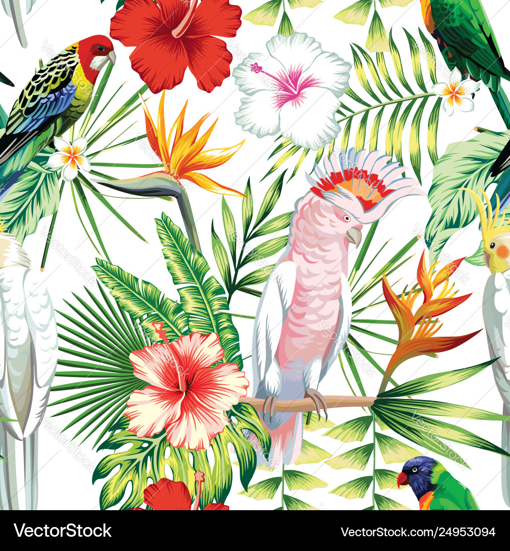 Tropical Parrot & Flowers Vector Image