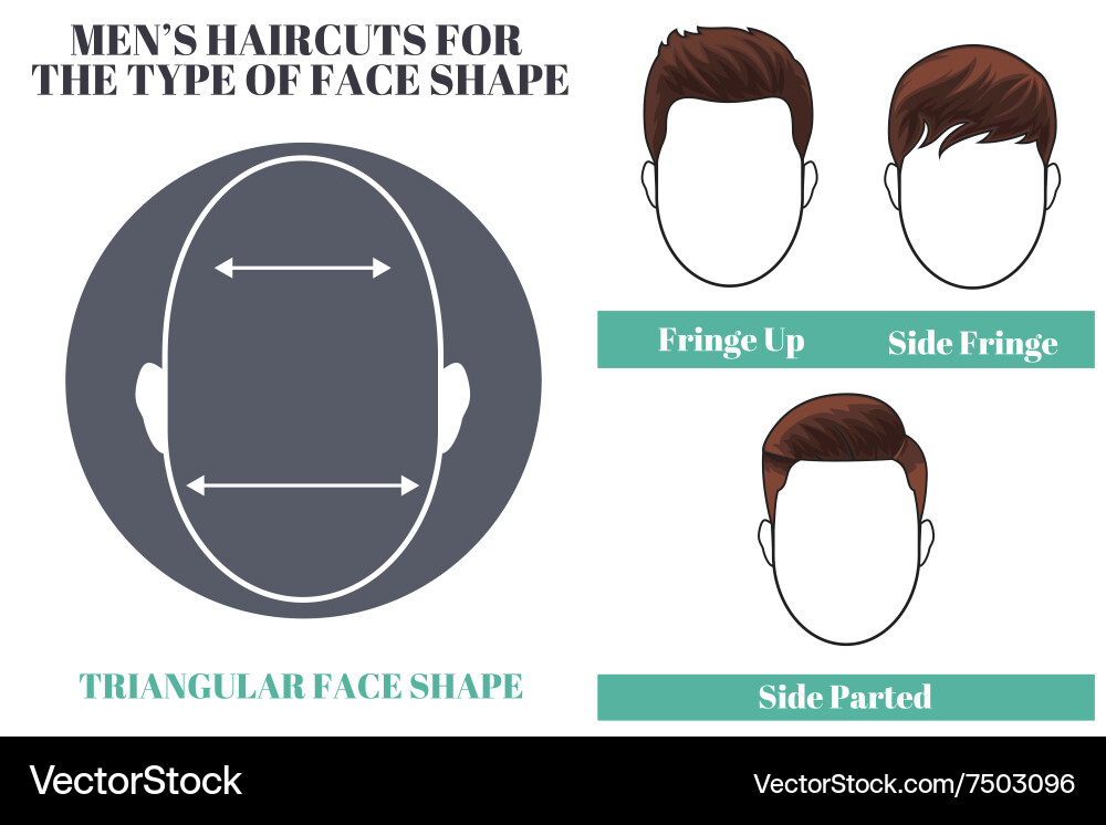 Haircuts for Triangular Face Shape vector image