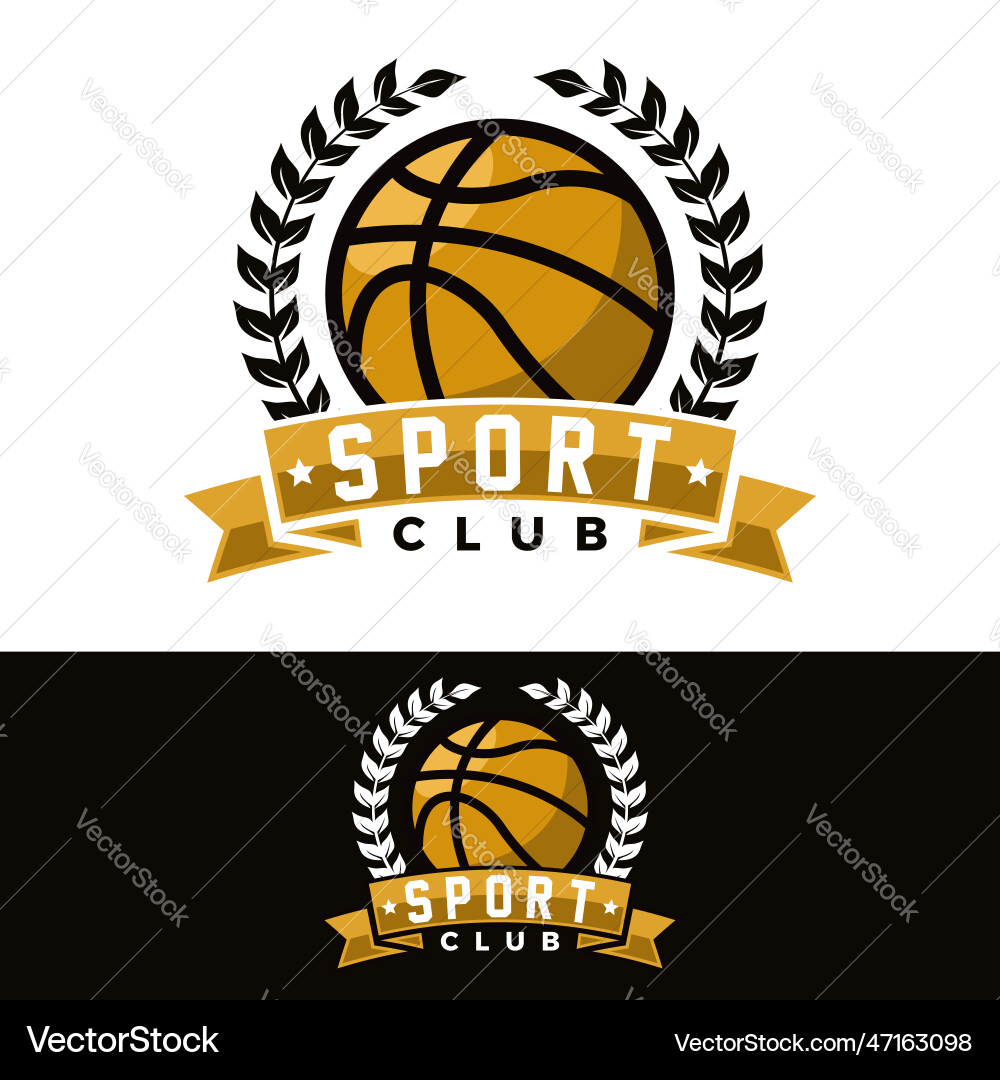 Basketball graphic template Basketball graphic template vector image