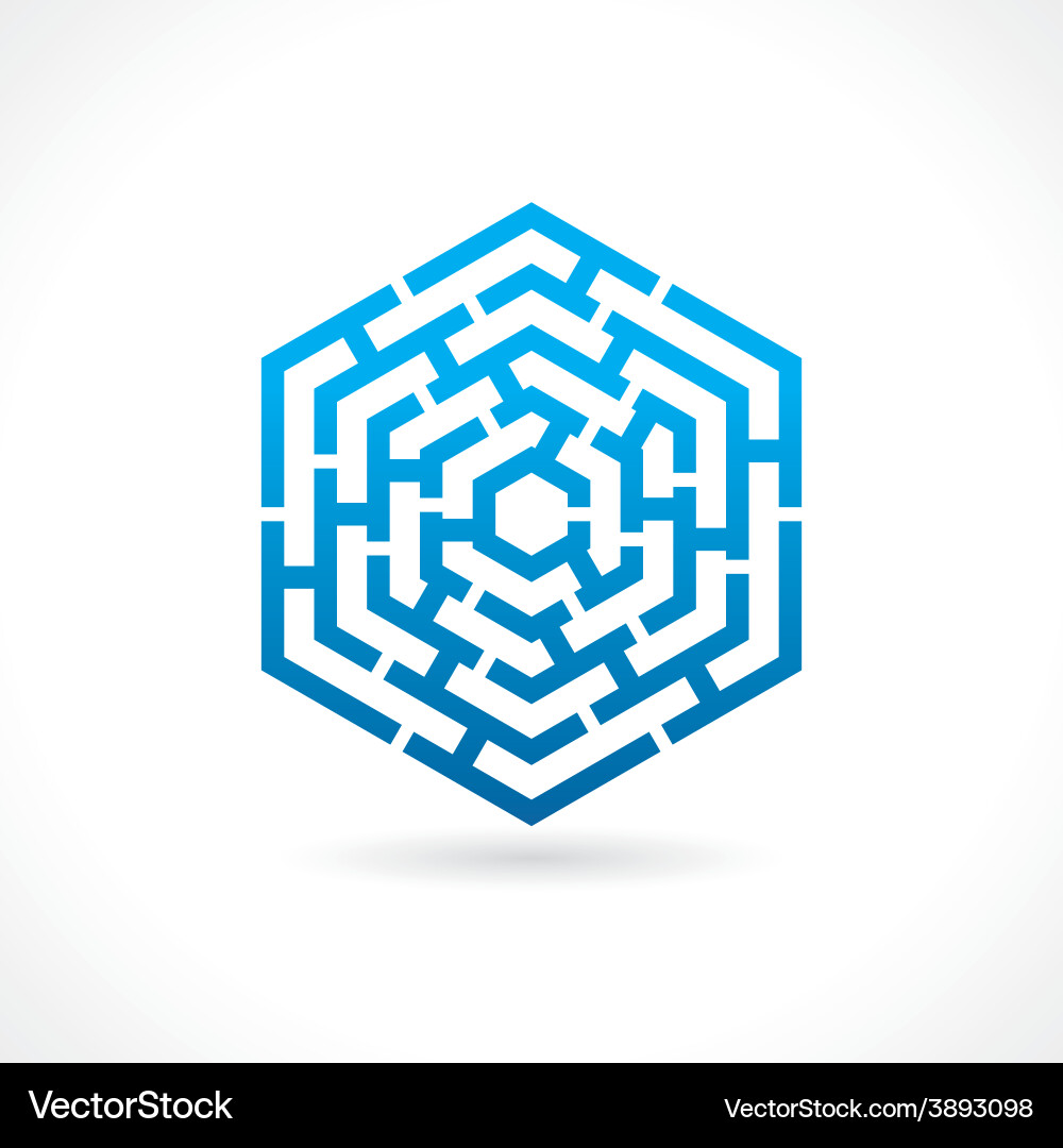 Complex Hexagonal Maze vector image