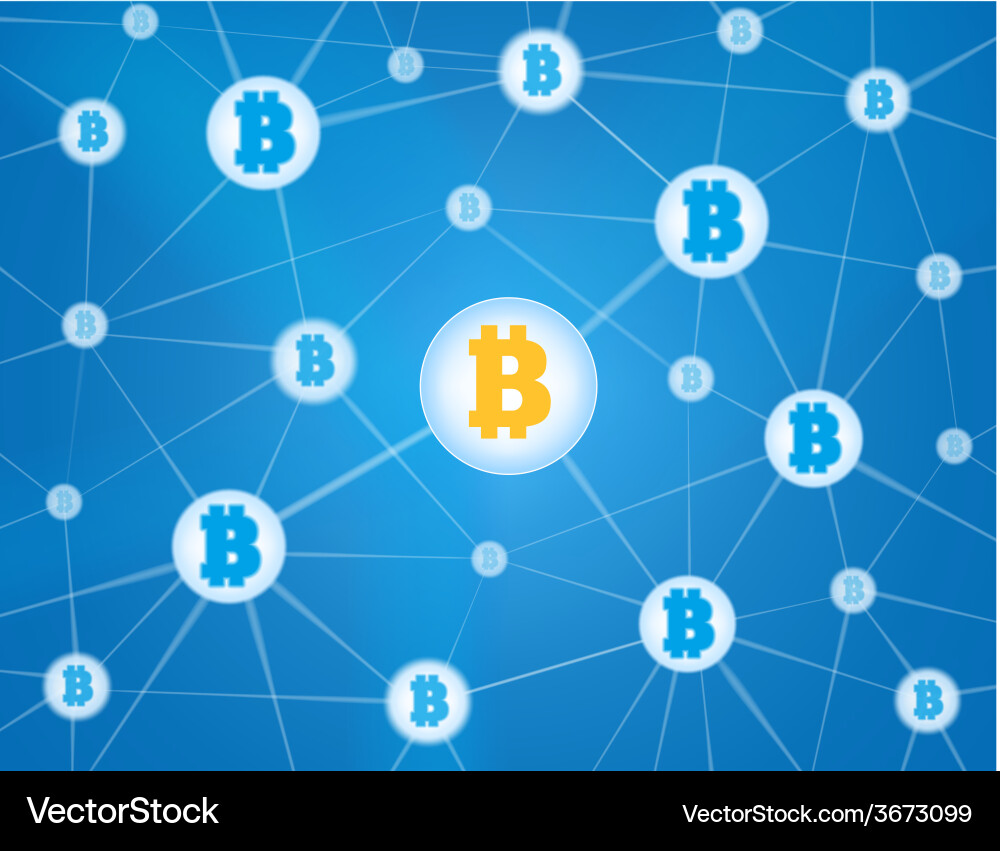 Bitcoin Network Connection Vector Image