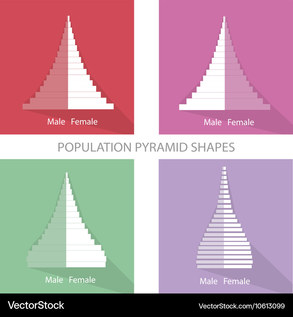 Different types of population pyramids graphs Vector Image
