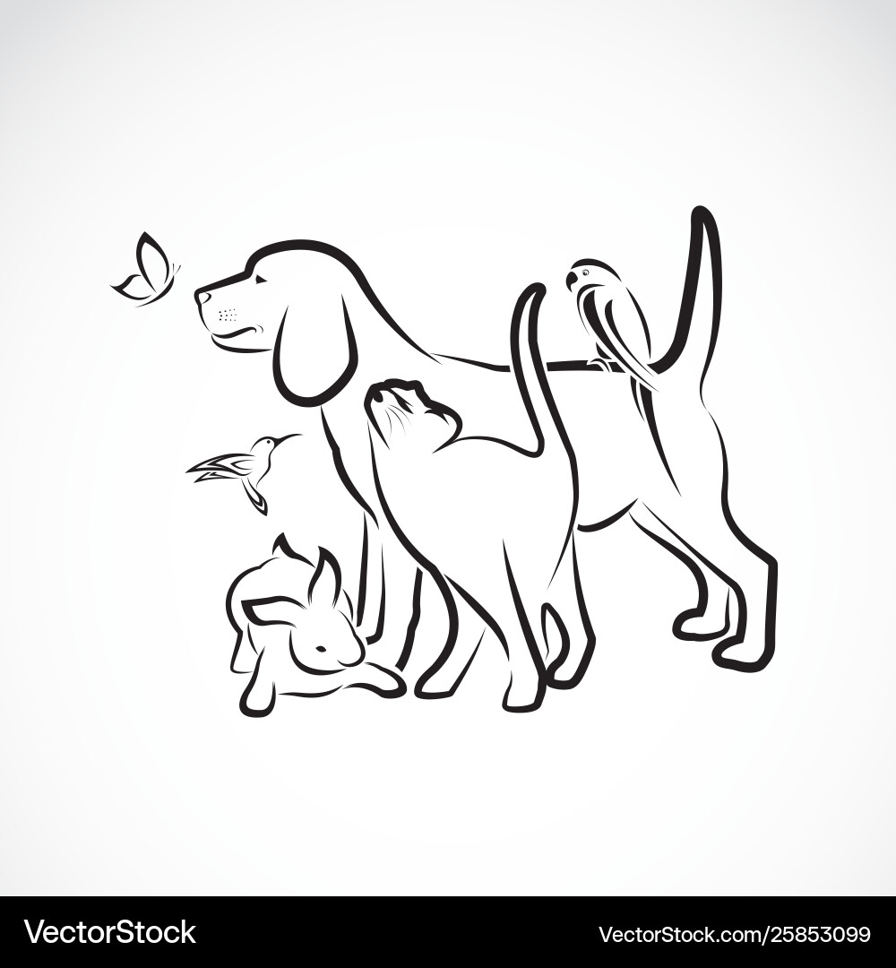 Group pets - dog cat parrot rabbit butterfly Group pets - dog cat parrot rabbit butterfly Vector Image