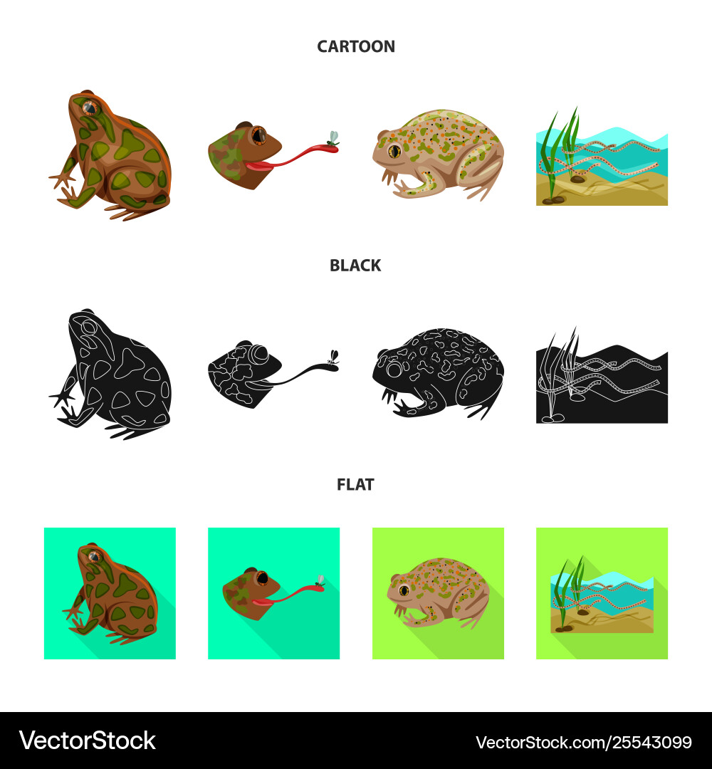 Isolated object wildlife and bog icon set Isolated object wildlife and bog icon set Vector Image