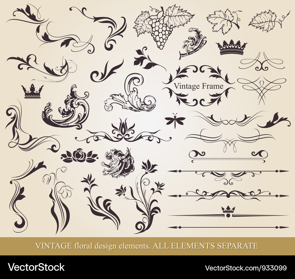 Vintage Floral Ornate Elements Vector Image
