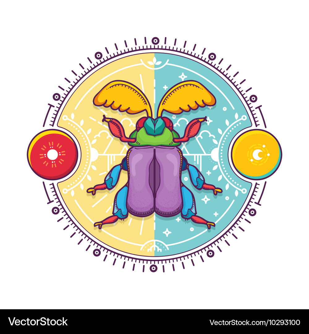 Beetle bug design elements with line graphic vector image