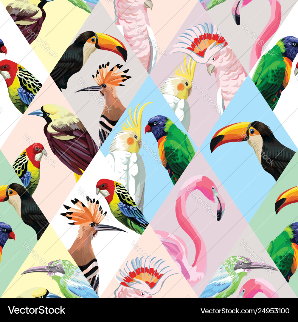 Patchwork tropical birds multicolor background Vector Image