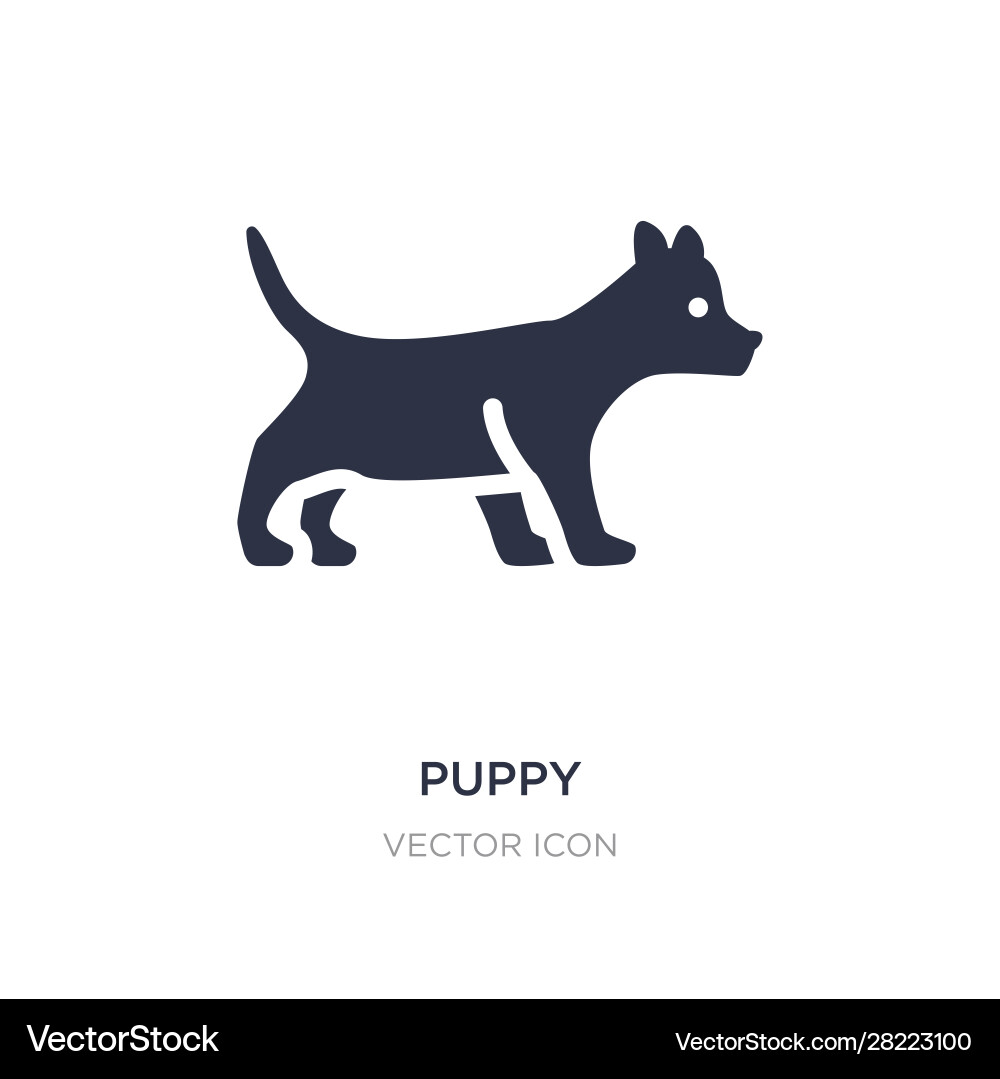 Puppy icon on white background simple element vector image