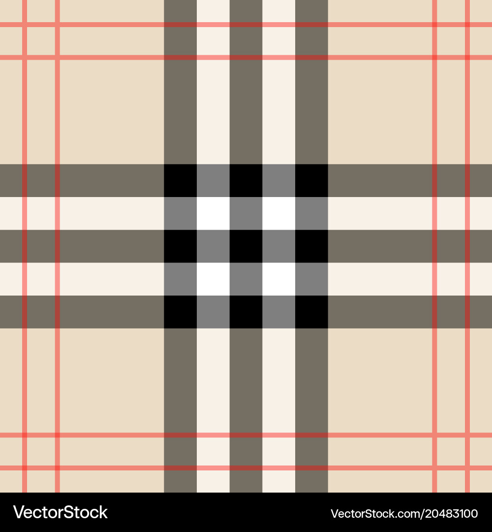 Scottish Check Pattern vector image
