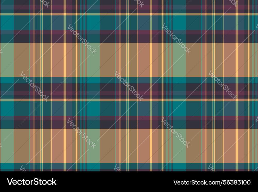 Seamless plaid pattern use it as a background Vector Image