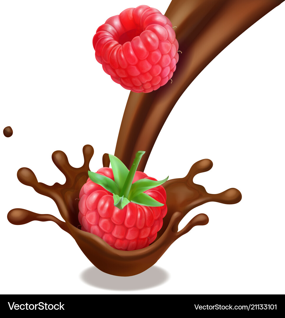Chocolate raspberry in splash isolated Chocolate raspberry in splash isolated vector image