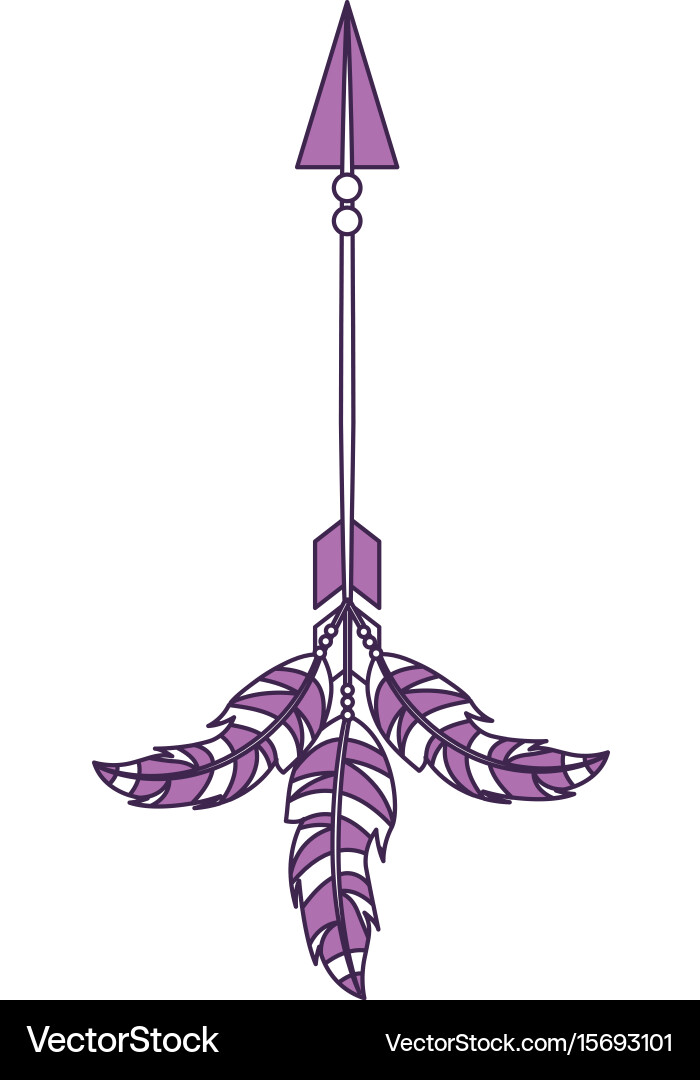 Decorative arrows with feathers boho style vector image