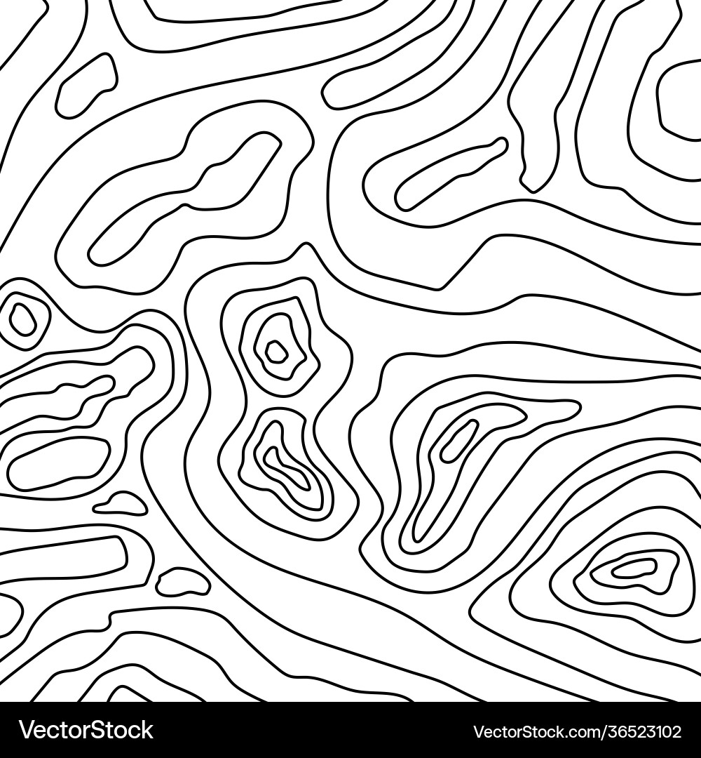 Abstract topographic map background Abstract topographic map background vector image
