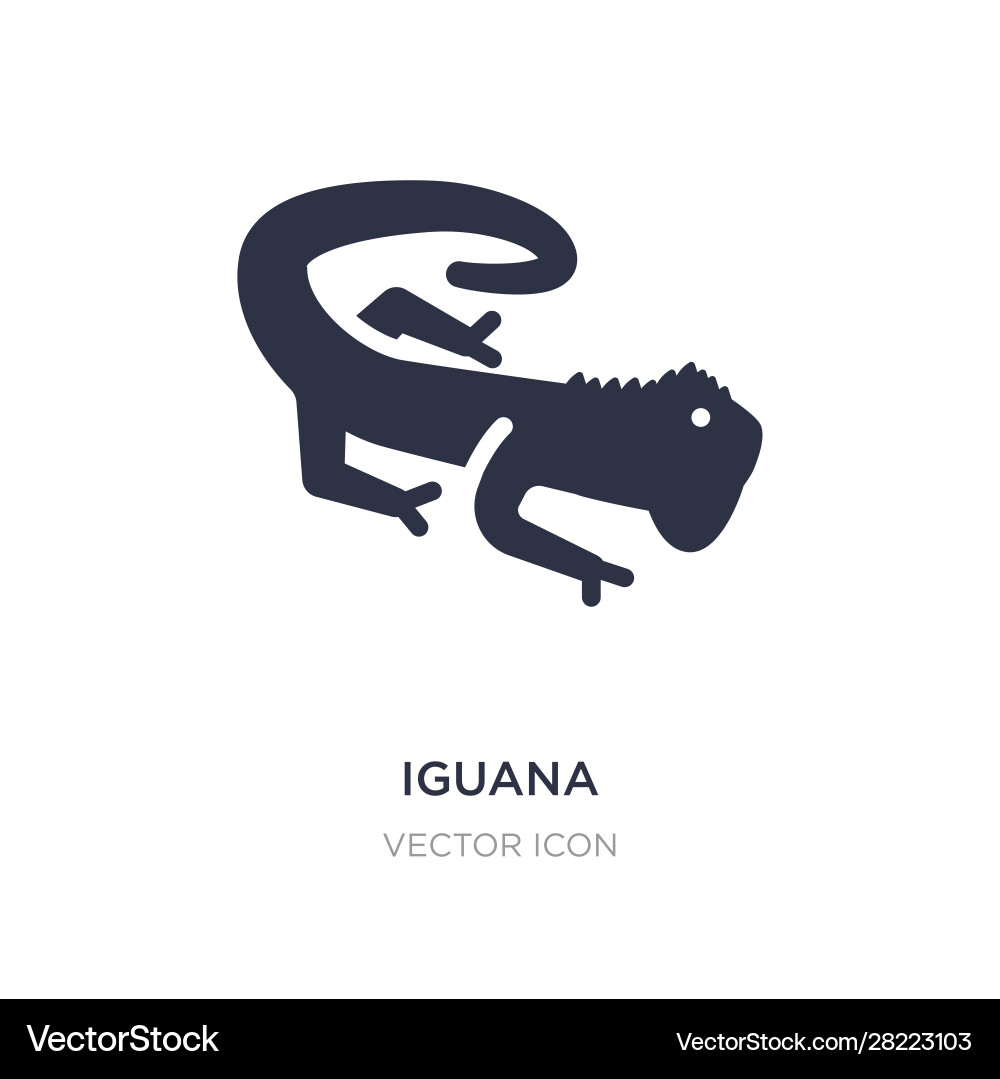 Iguana icon on white background simple element Vector Image