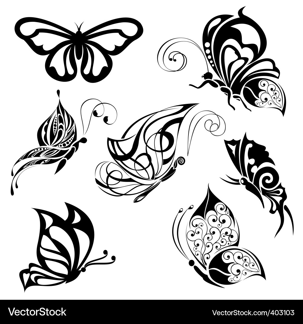 Set of butterflies Vector Image