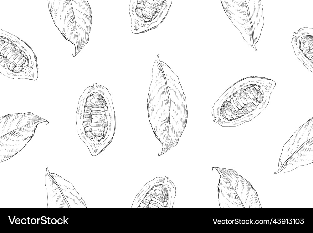 Tropical seamless pattern backgrounds from cocoa Tropical seamless pattern backgrounds from cocoa vector image