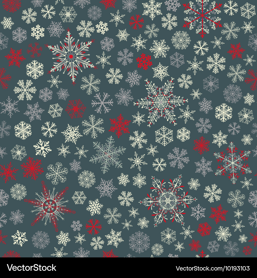 Winter Snowflake Pattern vector image