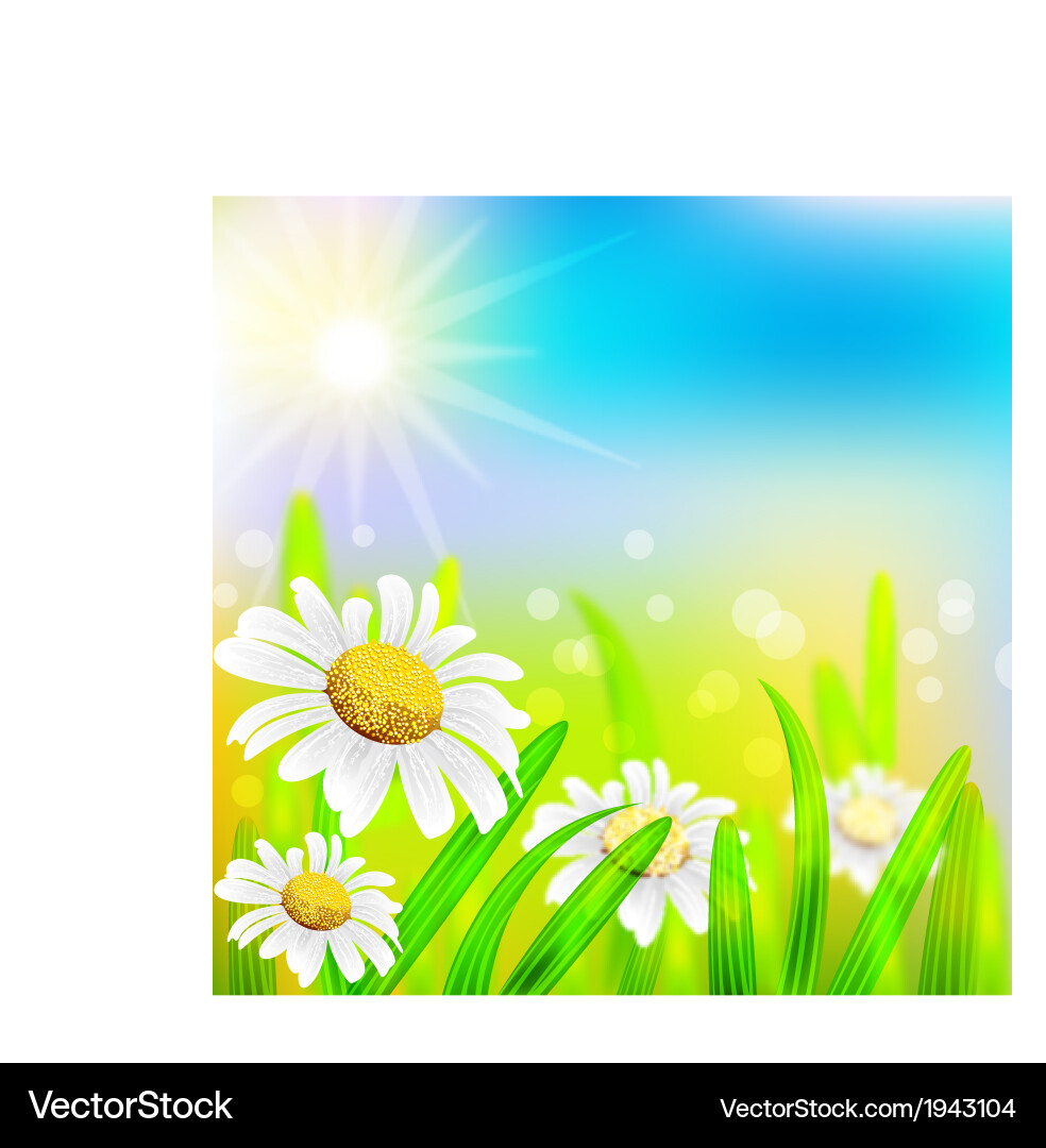 Spring background vector image