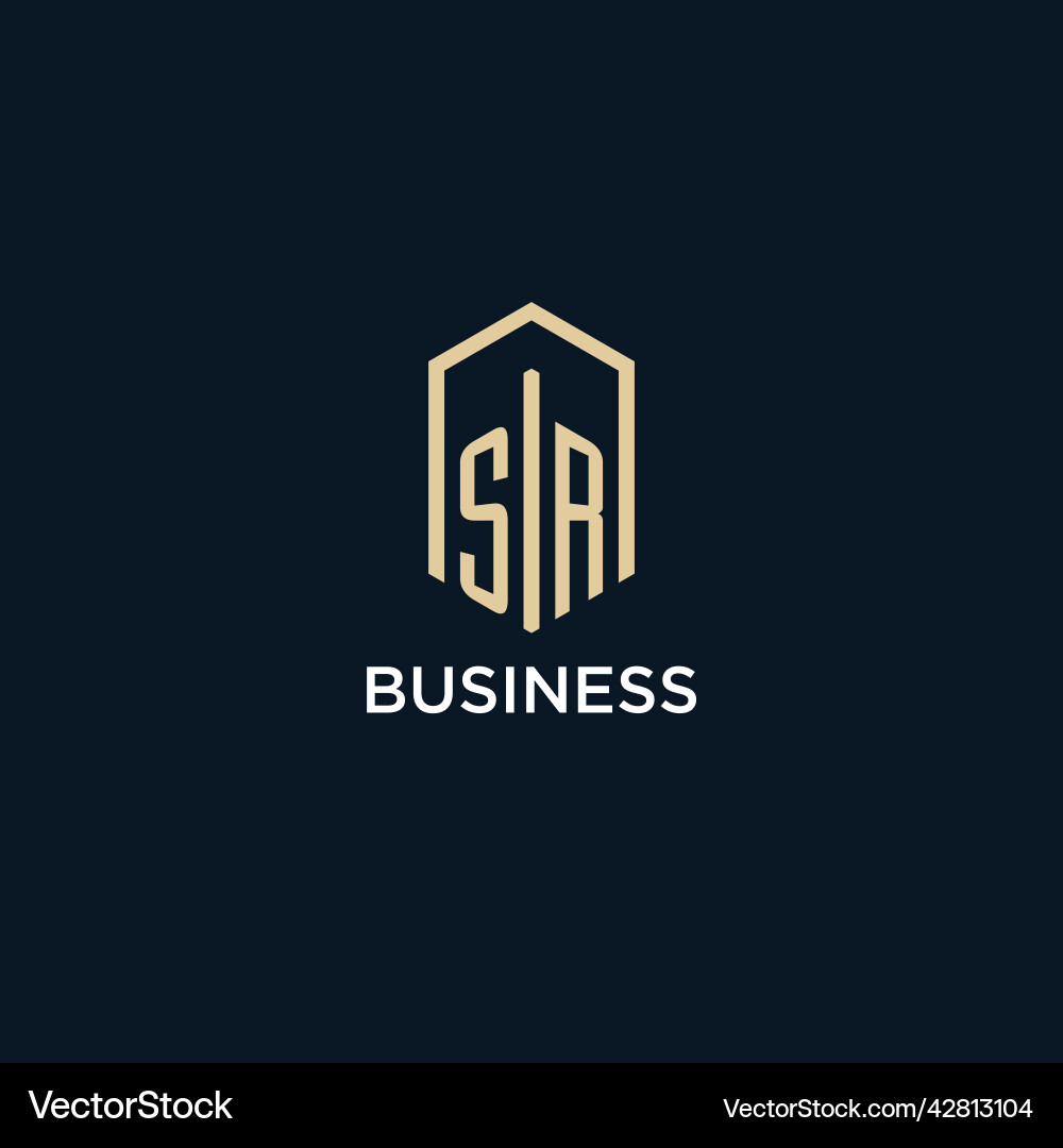 Sr initial monogram logo with hexagonal shape Sr initial monogram logo with hexagonal shape Vector Image