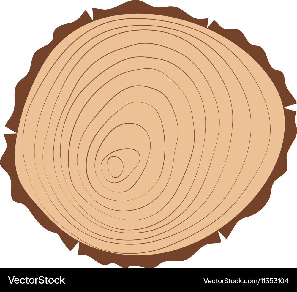 Tree slice isolated Vector Image