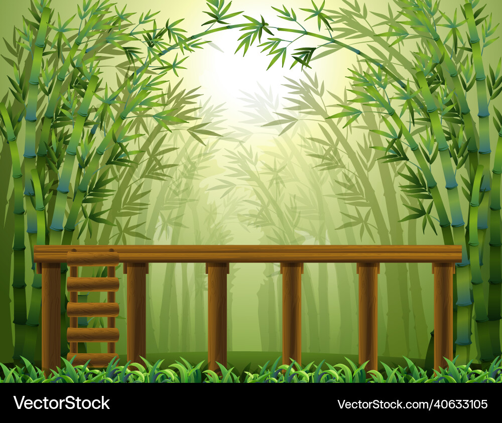Leere Bambus Wald Hintergrund  Lizenzfreie Vektorgrafik | VectorStock