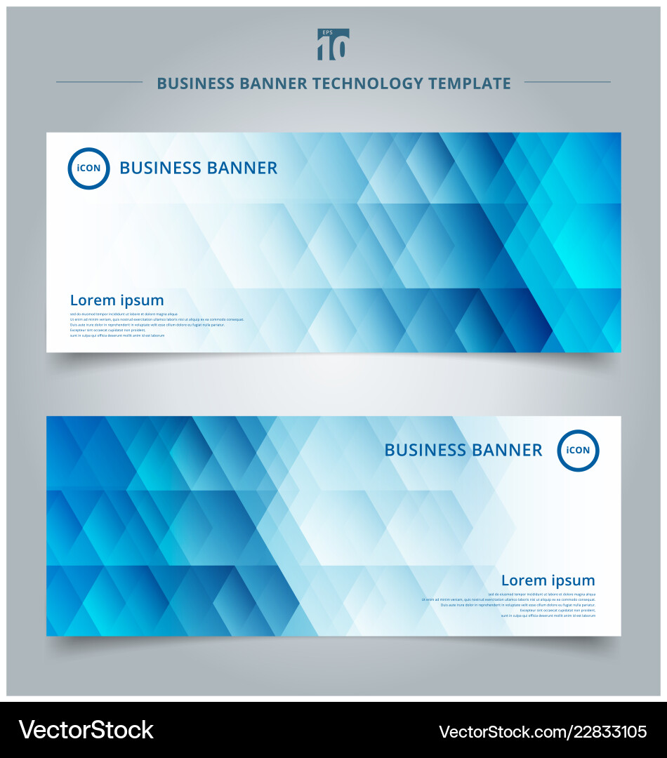 Geometric Hexagon Banner Template vector image