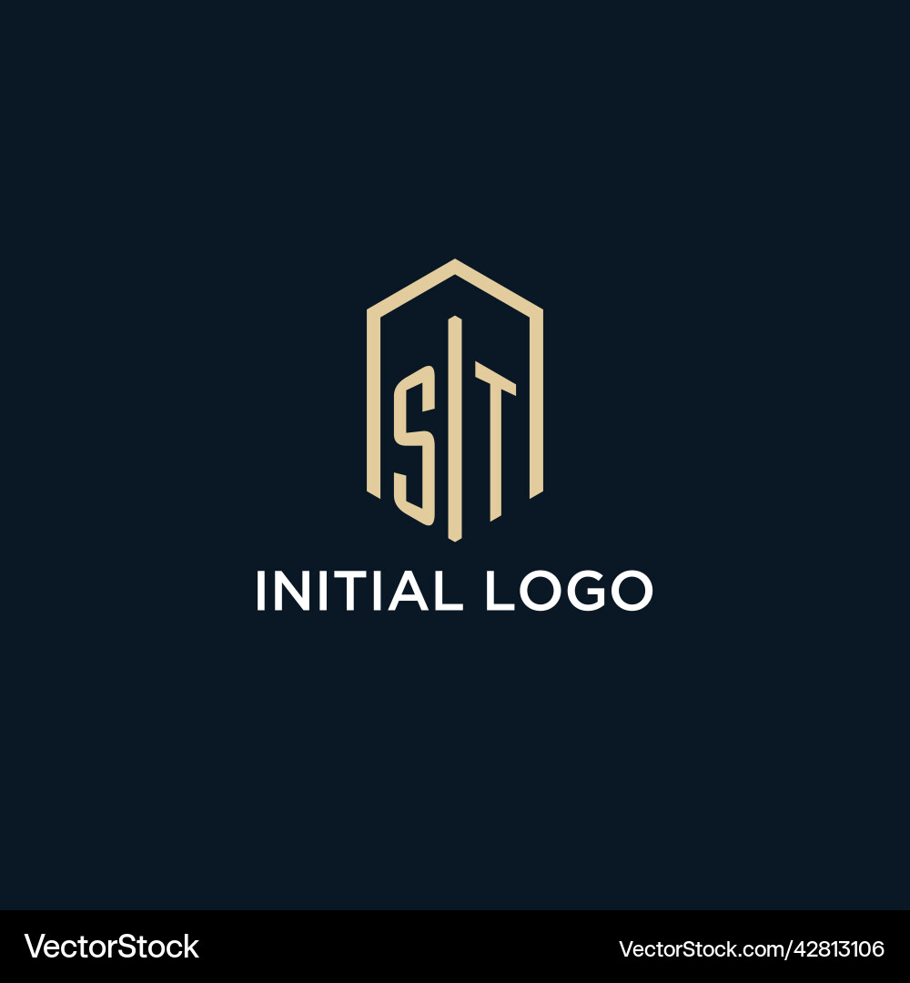St initial monogram logo with hexagonal shape St initial monogram logo with hexagonal shape Vector Image