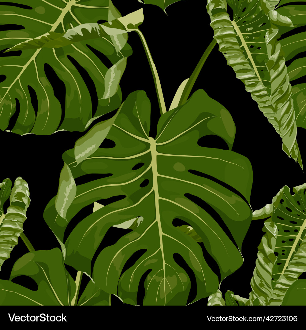 Tropical green monstera leaf Tropical green monstera leaf Vector Image