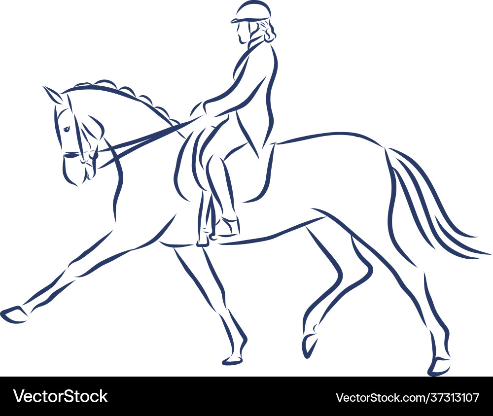 Horseback riding horsemanship sport contour Horseback riding horsemanship sport contour vector image