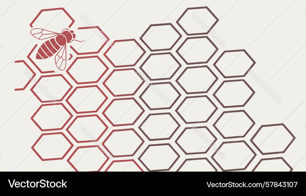 Minimalist honeycomb pattern natures hexagon grid Vector Image