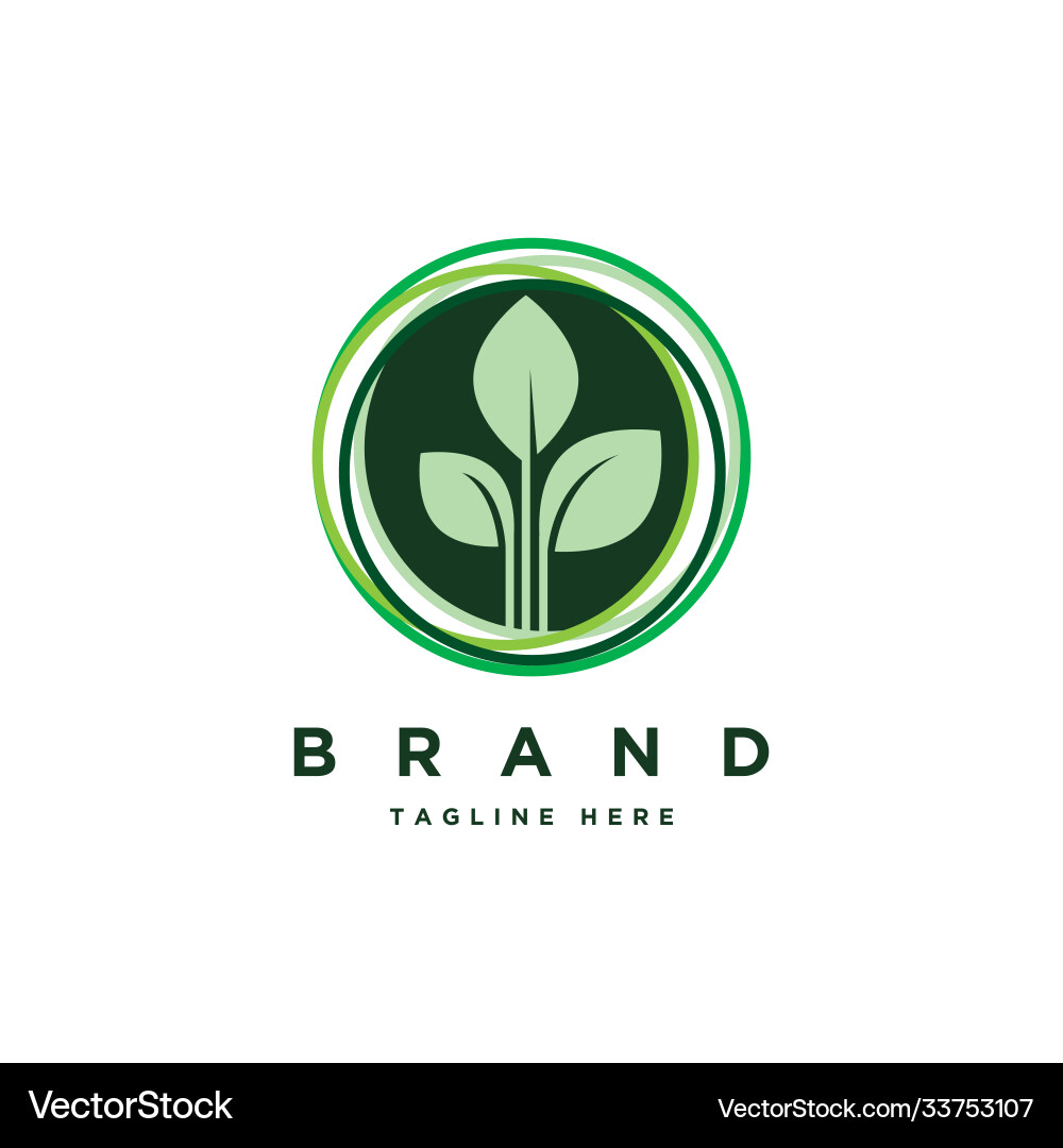 Organic Leaf Circle Logo Vector Image