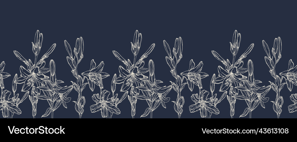 Horizontale nahtlose Grenze mit Lilium Horizontale nahtlose Grenze mit Lilium vektorbild