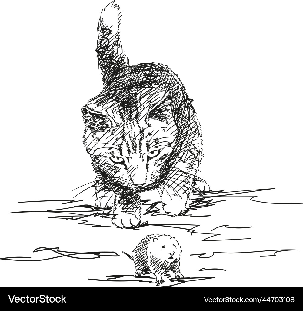 Sketch of cat playing with mouse hand drawn vector image
