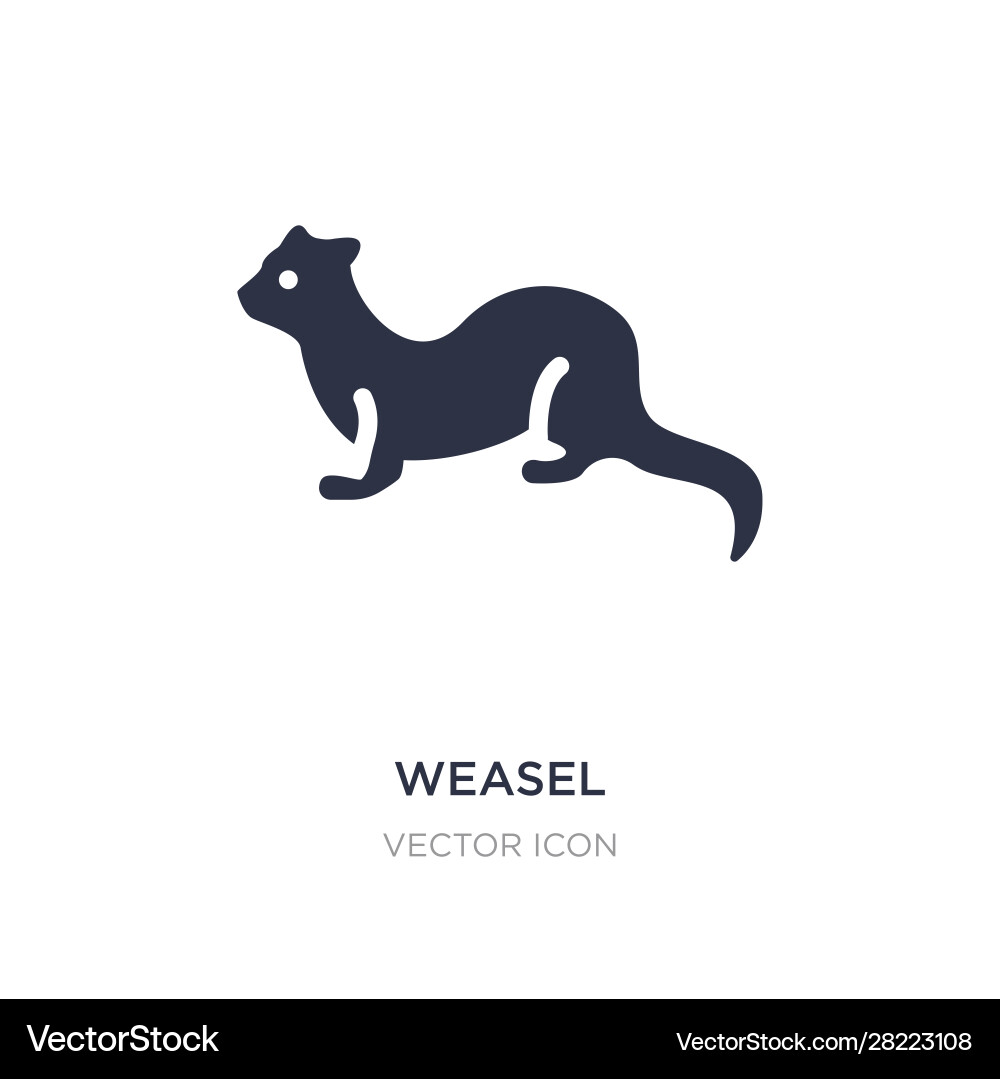 Weasel icon on white background simple element vector image