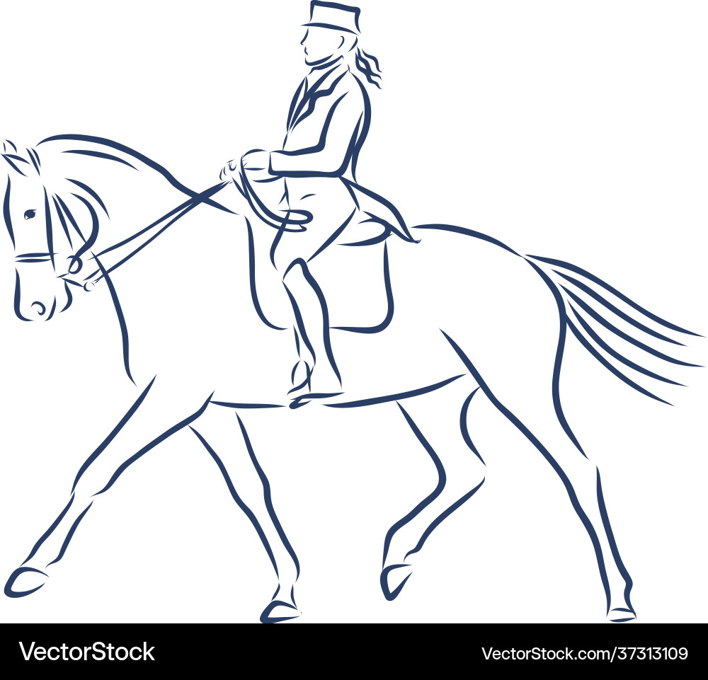 Horseback Riding Silhouette Vector Image