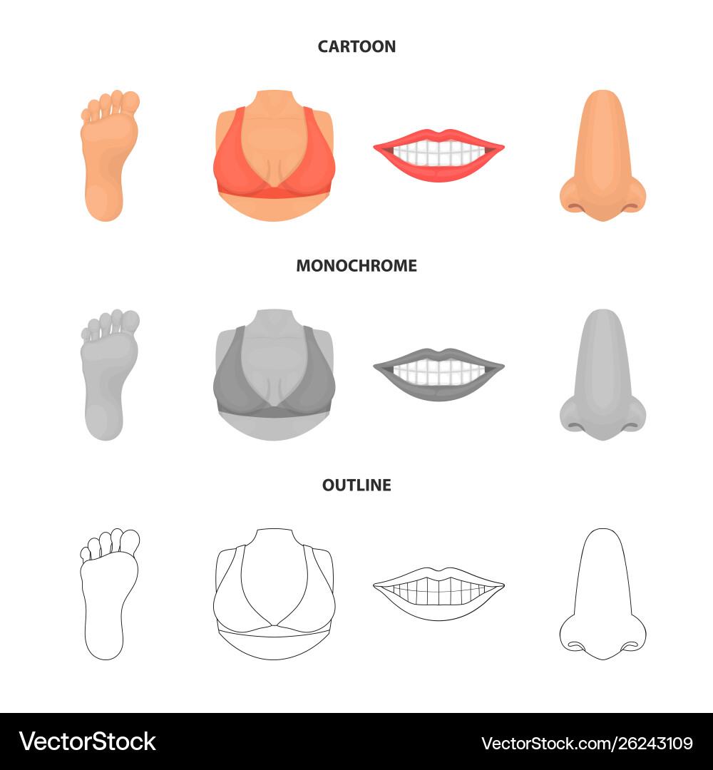 Isolated object body and part icon set Isolated object body and part icon set vector image